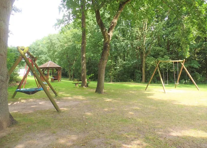 Panoramic A15-8 - Panoramic